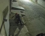 Veja o vídeo: Onda de furtos de vasos de plantas chega ao bairro Primavera, em Divinópolis