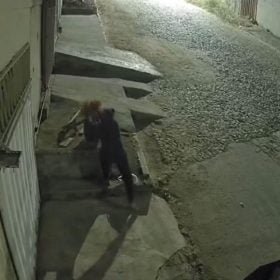 Veja o vídeo: Onda de furtos de vasos de plantas chega ao bairro Primavera, em Divinópolis