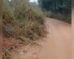 Vídeo: Morador denuncia mato alto e alerta para riscos em trecho da MG-430 em São Gonçalo do Pará
