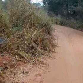 Vídeo: Morador denuncia mato alto e alerta para riscos em trecho da MG-430 em São Gonçalo do Pará