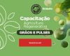 BDMG abre inscrições para capacitação gratuita em agricultura regenerativa com foco em cultivo de grãos e pulses