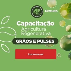 BDMG abre inscrições para capacitação gratuita em agricultura regenerativa com foco em cultivo de grãos e pulses