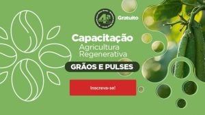 BDMG abre inscrições para capacitação gratuita em agricultura regenerativa com foco em cultivo de grãos e pulses