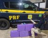 Fuga na BR-262 acaba com pris&atilde;o de motorista e apreens&atilde;o de 93 kg de maconha