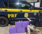 Fuga na BR-262 acaba com prisão de motorista e apreensão de 93 kg de maconha