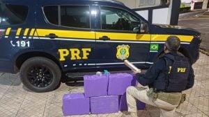 Fuga na BR-262 acaba com prisão de motorista e apreensão de 93 kg de maconha
