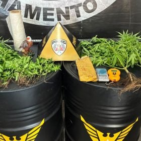 Operação da PM localiza 29 pés de maconha e mais de 1 kg de crack em Itaúna