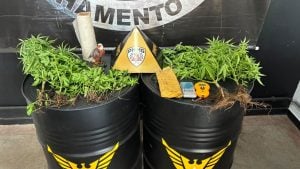 Operação da PM localiza 29 pés de maconha e mais de 1 kg de crack em Itaúna