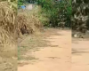 Abandono de campo no Del Rey revolta moradores, que cobram melhorias da prefeitura em Divinópolis