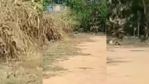 Abandono de campo no Del Rey revolta moradores, que cobram melhorias da prefeitura em Divin&oacute;polis
