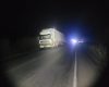 Oito búfalos morrem após serem atingidos por carreta na MG-170, em Lagoa da Prata