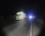 Oito búfalos morrem após serem atingidos por carreta na MG-170, em Lagoa da Prata