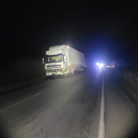Oito búfalos morrem após serem atingidos por carreta na MG-170, em Lagoa da Prata