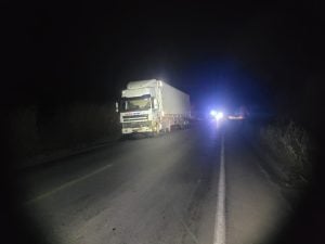Oito búfalos morrem após serem atingidos por carreta na MG-170, em Lagoa da Prata