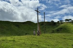 Eletrificação rural recebe investimentos