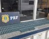 PRF apreende 600 kg de pólvora clandestina na BR-262, em Bom Despacho