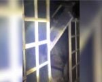 Casa destru&iacute;da por inc&ecirc;ndio ap&oacute;s suspeito atear fogo em resid&ecirc;ncia de mulher em Bambu&iacute;