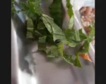 Moradora relata ter encontrado inseto em refeição no Restaurante Popular de Divinópolis.