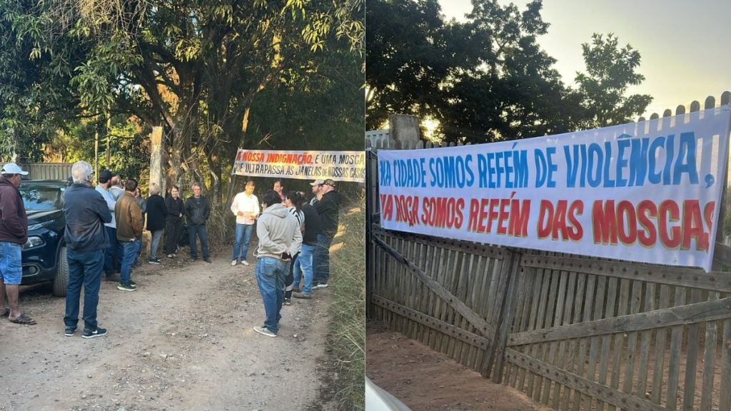 Moradores protestam contra infesta&ccedil;&atilde;o de moscas e mau cheiro de granja em Divin&oacute;polis