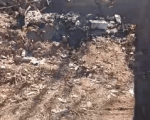 V&Iacute;DEO: Descarte irregular de lixo volta a gerar transtornos em Divin&oacute;polis