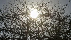 Céu seco em Divinópolis durante alerta de baixa umidade do INMET