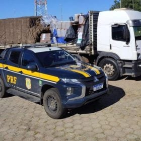 PRF apreende 4 mil litros de cachaça em galões de agrotóxicos na BR-381, em Oliveira