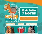 Quem não tem cão castra gato: Castramóvel tem feira de adoção