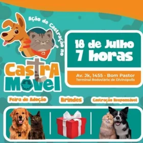 Quem não tem cão castra gato: Castramóvel tem feira de adoção