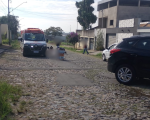 VÍDEO: Motociclista fica ferida após colisão com carro no bairro Quintino