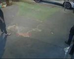 Reconstituição de morte de morador de rua por policial em Belo Horizonte é realizada pela Polícia Civil