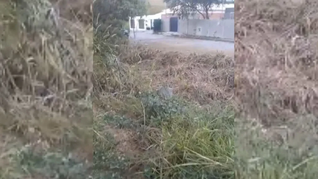 Cratera no bairro Belo Vale em Divin&oacute;polis preocupa moradores
