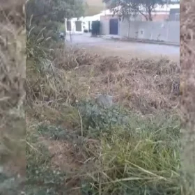 Cratera no bairro Belo Vale em Divinópolis preocupa moradores