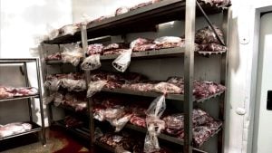 Frigorífico é multado em R$ 35 mil por armazenar carnes impróprias para consumo em Formiga