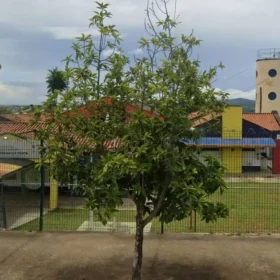 Manifestação da greve dos servidores em Divinópolis em frente ao Diviprev
