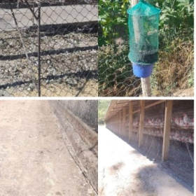 Polícia Ambiental recomendou nova vistoria para avaliar licença de granja em Divinópolis