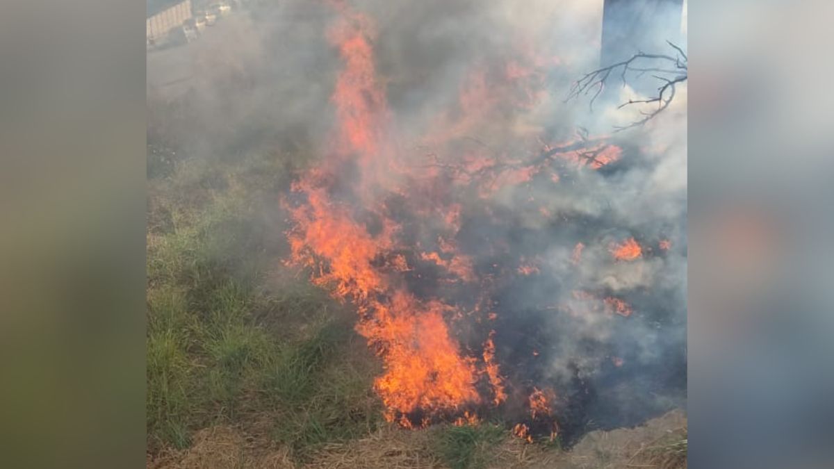 Inc&ecirc;ndio em lote vago na Rua Itapecerica, no Centro de Divin&oacute;polis