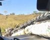 Veja vídeo: Carreta carregada com óleo diesel tomba e interdita BR-262 perto de Nova Serrana