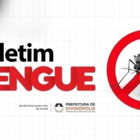 Mosquito Aedes aegypti relacionado aos casos de dengue em Divinópolis