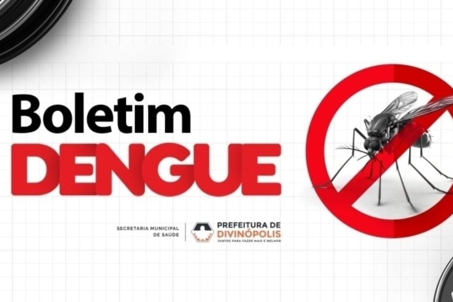 Mosquito Aedes aegypti relacionado aos casos de dengue em Divin&oacute;polis