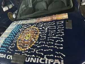 Guarda Municipal apreende mais de 350 por&ccedil;&otilde;es de drogas durante ocorr&ecirc;ncia em Nova Serrana