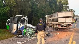 Acidente entre micro-ônibus e carreta deixa 23 mortos na BR-373