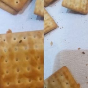 Mulher encontra carunchos em bolacha comprada de supermercado em Divinópolis