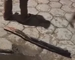 Polícia Militar atende ocorrência de agressão no bairro das Graças, em Oliveira