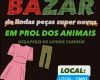 Bazar beneficente em Divinópolis arrecada recursos para salvar animais resgatados