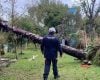 Possível ciclone-bomba gera alerta de vendaval: vai chegar a Divinópolis?
