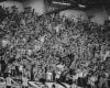 Torcida do Atlético pode adquirir ingressos para clássico contra o Cruzeiro pela Copa do Brasil