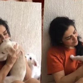 Let&iacute;cia Sabatella comenta resolu&ccedil;&atilde;o de caso envolvendo ado&ccedil;&atilde;o de seus c&atilde;es e confiss&atilde;o de veterin&aacute;ria