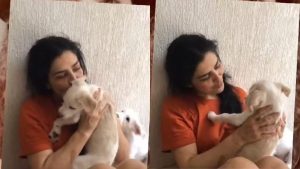 Let&iacute;cia Sabatella comenta resolu&ccedil;&atilde;o de caso envolvendo ado&ccedil;&atilde;o de seus c&atilde;es e confiss&atilde;o de veterin&aacute;ria
