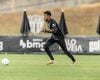 Goleiro Gabriel Delfim, substituto de Everson no Atlético, não atua há sete meses; relembre sua trajetória