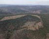 Operação nacional fiscaliza mais de 8 mil hectares de Mata Atlântica e identifica desmatamento ilegal em Minas Gerais